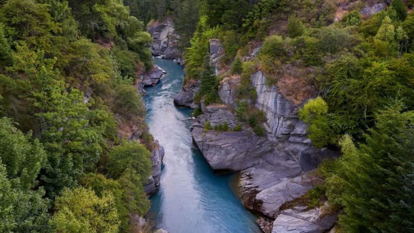 Community group alarmed by Shotover River's spike in E. coli, council opens investigation