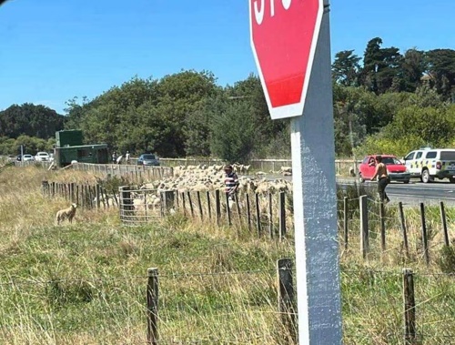 Jayme Hamelink said the intersection is well marked, but occasionally challenging for drivers. Photo / Jayme Hamelink