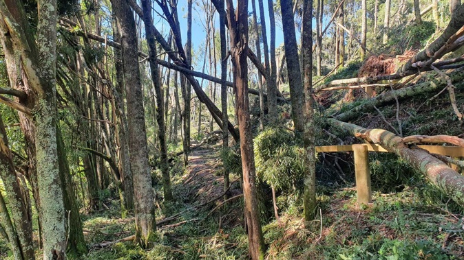 The Craters Mountain Bike Park was severely damaged by Cyclone Gabrielle. Photo / Supplied