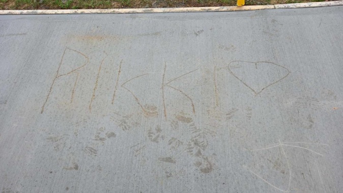 A section of graffiti on the new path. (Photo / Porirua City Council)
