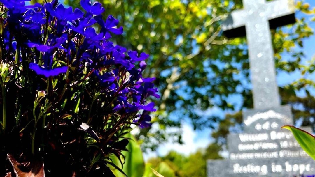 'Particularly low act': Man charged over theft of nine war plaques from cemetery
