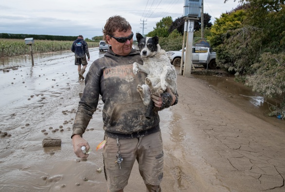 Photo / NZ Herald