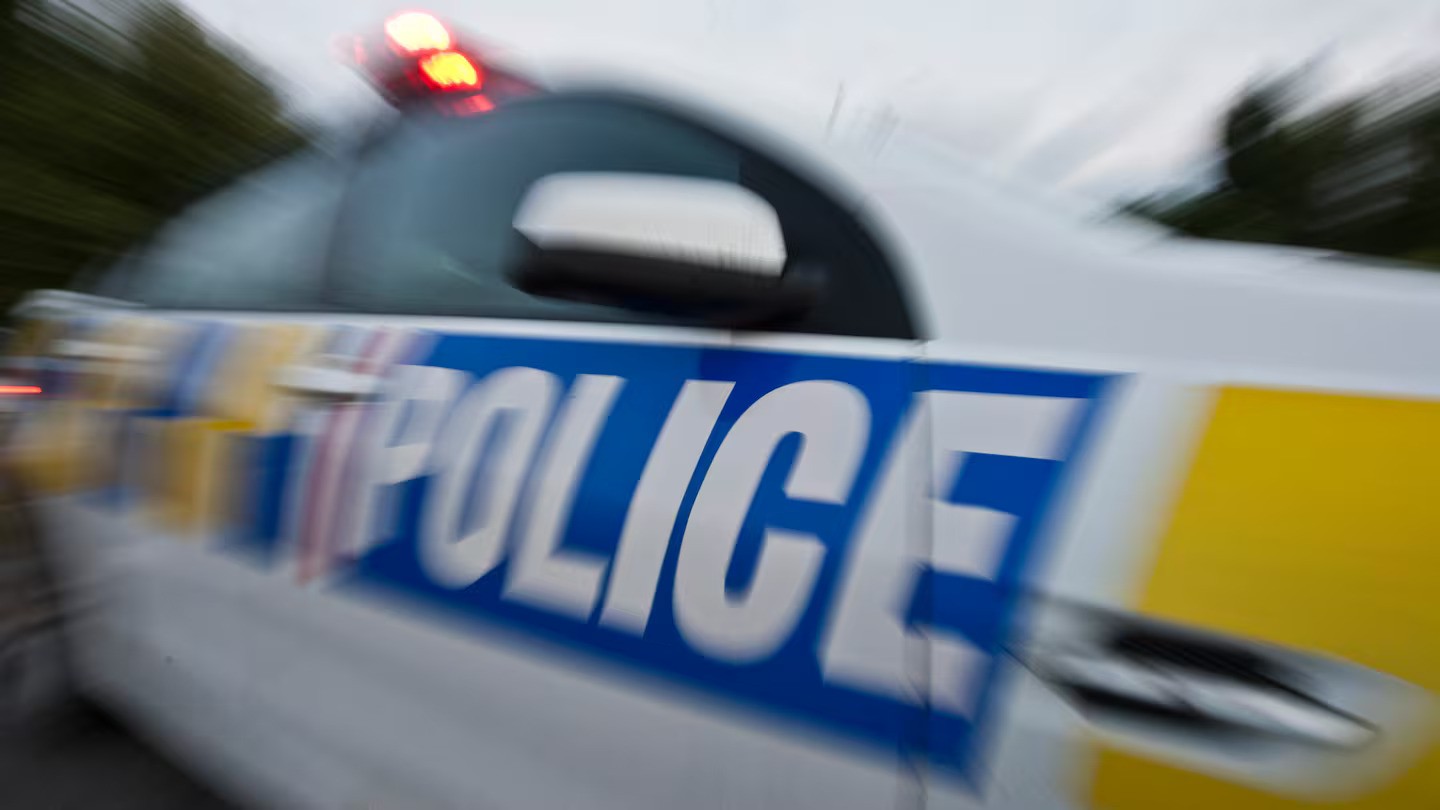 Police seek pair of witnesses to alleged late-night assault