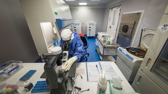 Malaghan Institute researchers are trying to find a Car-T cell cancer therapy more effective than current ones – but also safer and affordable – that can be introduced to our healthcare system.