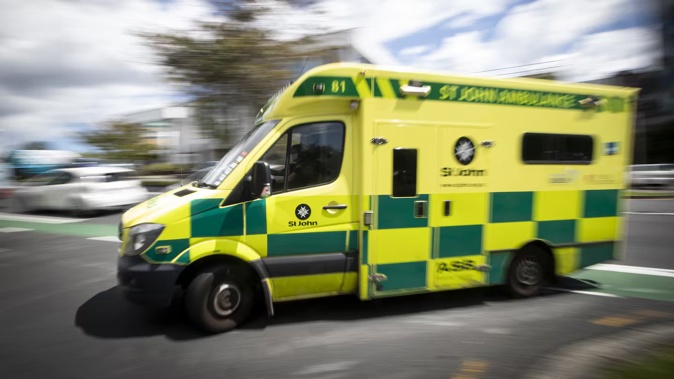 One person was hospitalised after a youth disorder incident in Beach Haven, Auckland. Photo / Jason Oxenham