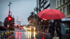 Squally thunderstorms and hail with localised heavy falls are possible for Auckland and Northland from tomorrow evening. Photo / Michael Craig