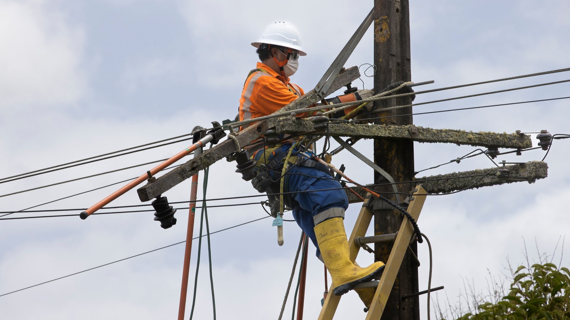 Calls to 'futureproof' energy industry and bolster workforce