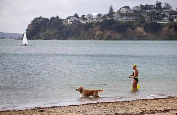 Scientists have been taken aback at the amount of microplastics they found after sampling several popular Auckland beaches, including Mission Bay. Photo / Alex Burton