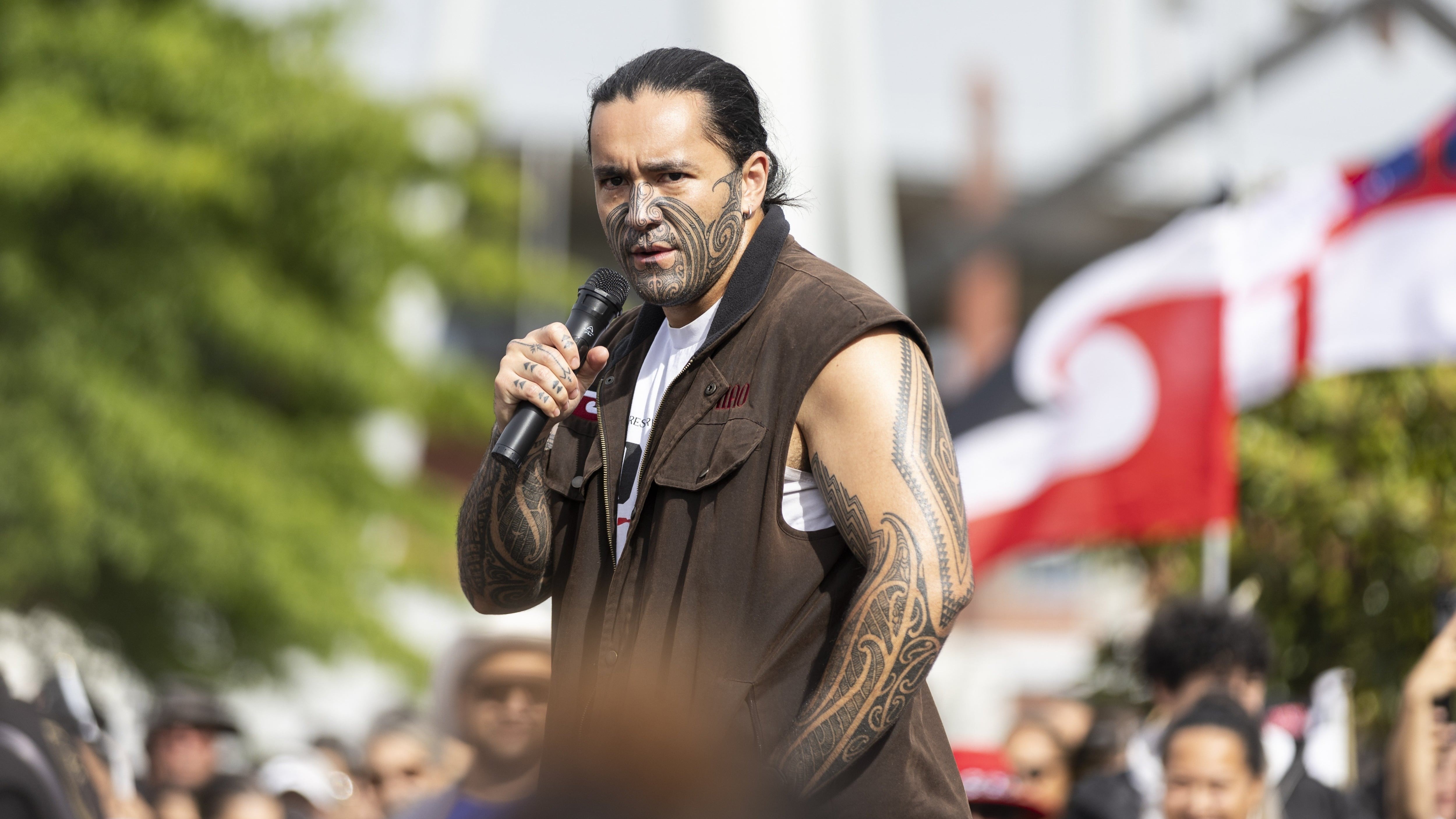 In a new post on social media on Wednesday morning, Eru Kapa-King referenced reports of others in the party being frustrated with the leadership. Photo / Alex Cairns