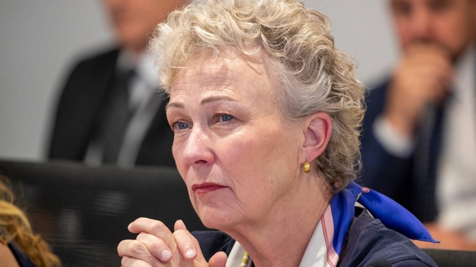 Wellington City councillor Nicola Young said she has apologised and withdrawn the comment. File Photo / Mark Mitchell