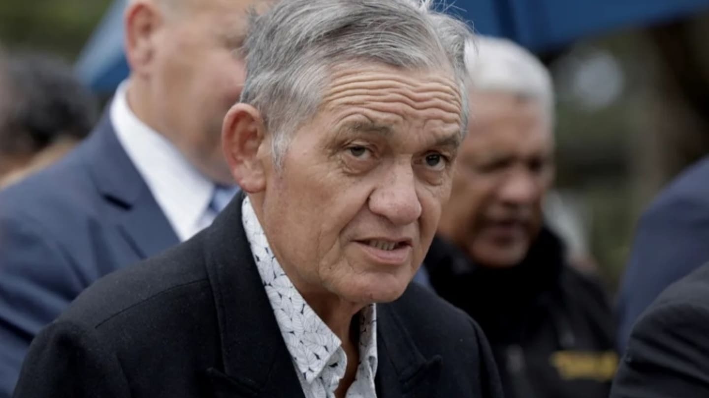 Kiingi Tūheitia pictured in 2020. Photo / RNZ / Dan Cook