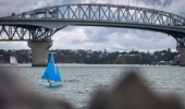 The Auckland Harbour Bridge may once again be tolled. Photo / Michael Craig