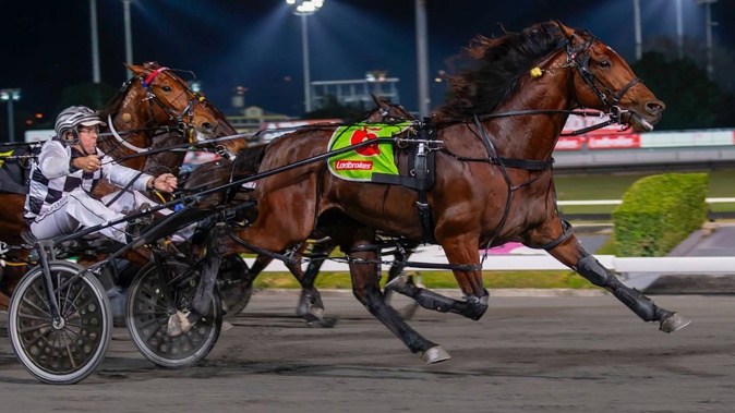 Australia’s latest pacing star Leap To Fame.