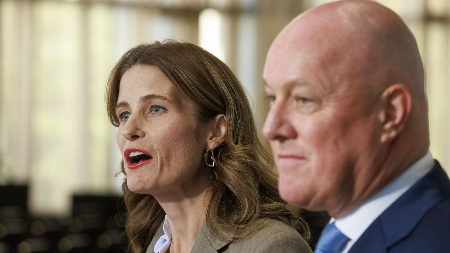 Nicola Willis set to unveil public service shrink as PM promises job cuts