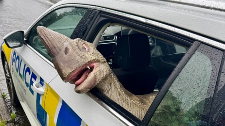 Stolen dinosaur recovered in New Plymouth after police search, one person arrested
