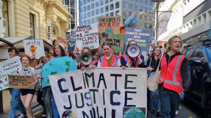 Climate protesters in Wellington today. Photo / RNZ / Krystal Gibbens