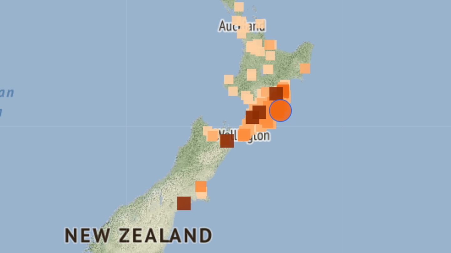 Over 1000 people felt the 4.8 magnitude quake near Porangahau. Image / GeoNet