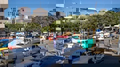 Portaloos and protesters' vehicles parked on the corner of Aitkin, Molesworth and Hill Sts. Photo / Mark Mitchell