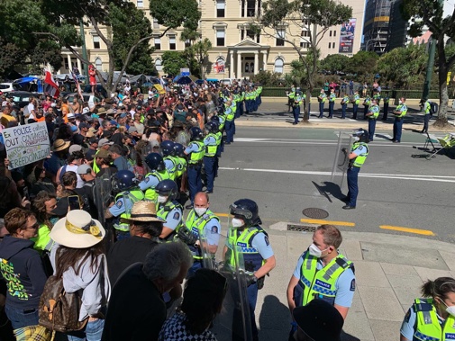 The protest at Parliament. Photo / Mark Mitchell