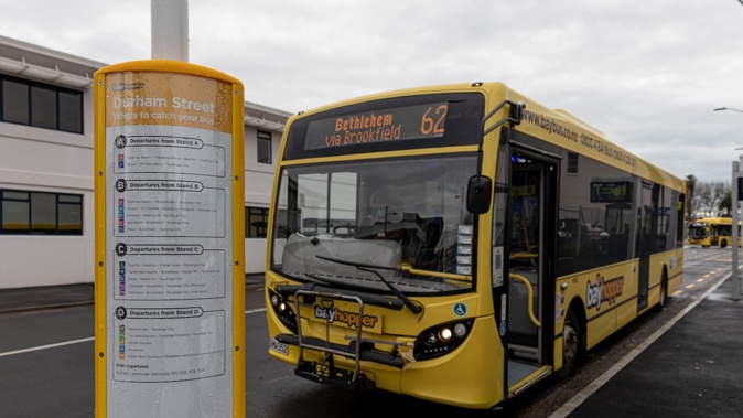 Bay of Plenty urban bus fares will increase from next January. Photo / Mead Norton