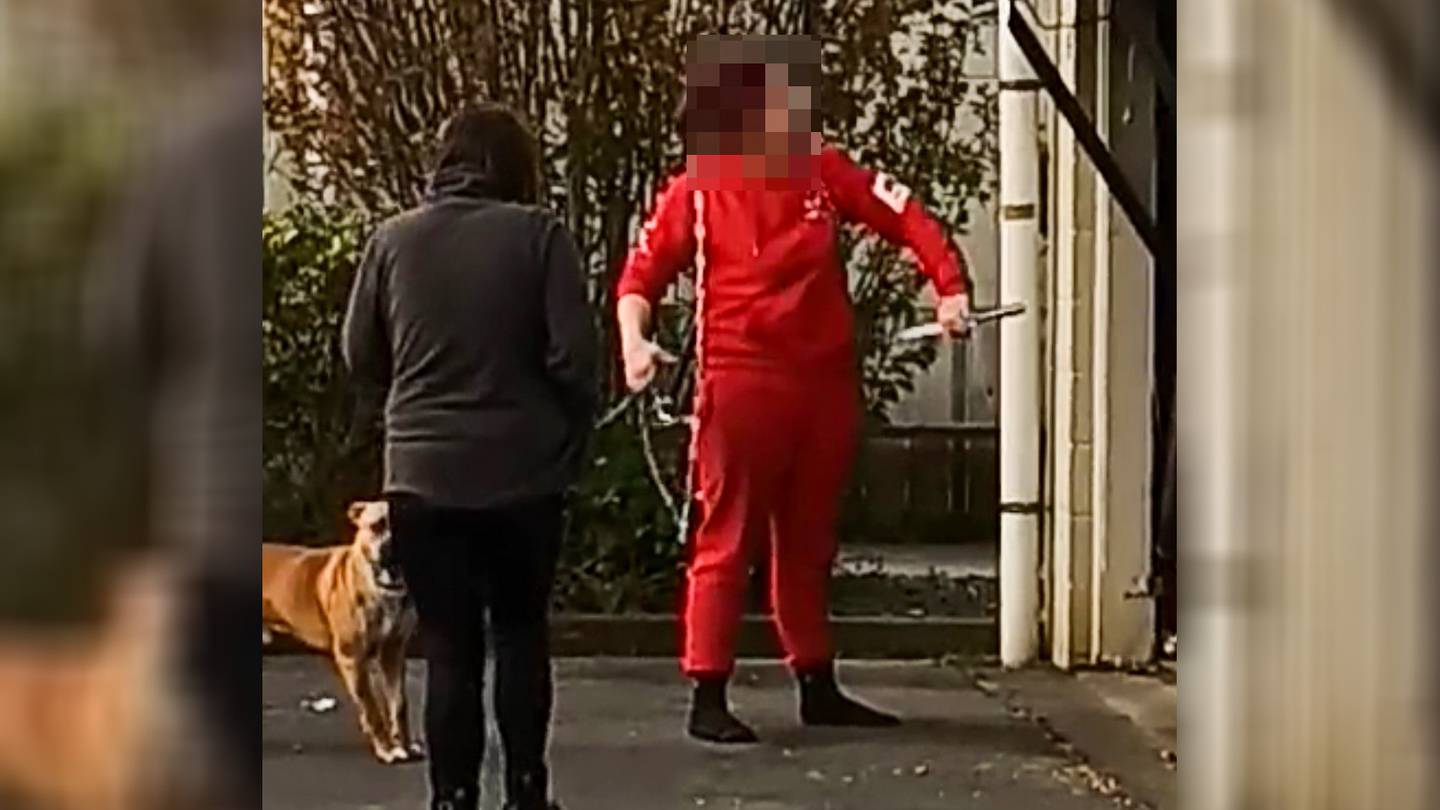 A neighbour says the Kāinga Ora tenant threatened her with a shovel and a knife. Photo / Supplied