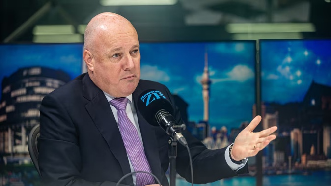 Prime Minister Christopher Luxon has had a rollercoaster ride in the polls this year. Photo / Michael Craig