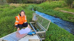 Whangārei's Arden Hermans says one of the best things about civil engineering is the chance to get out of the office - something she thinks other women would also enjoy.