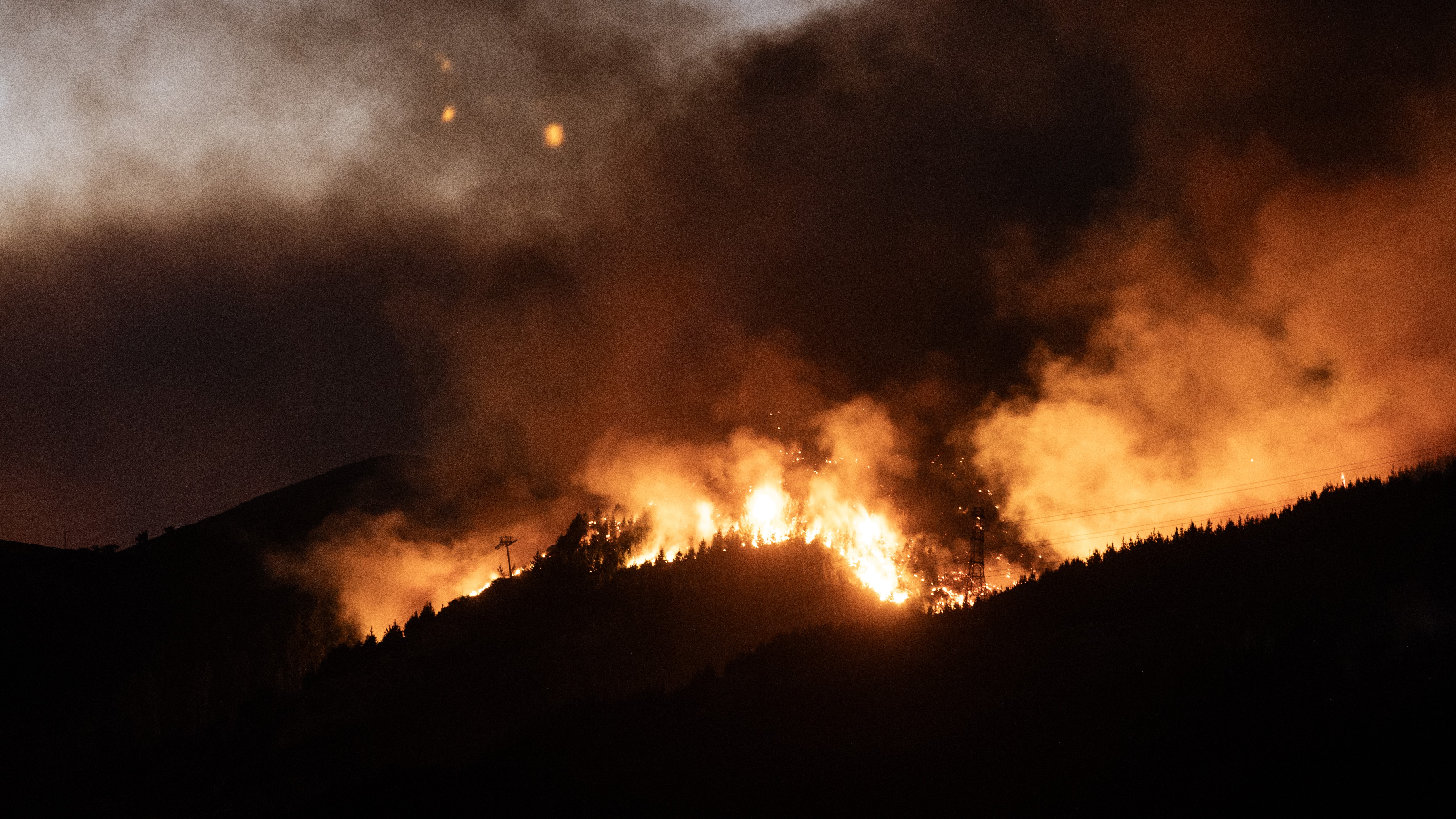 Photo / George Heard