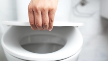 New research reveals why urine comes out yellow