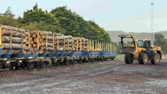 Whanganui-based forestry company Forest360 has switched to transporting its logs by rail. Photo / Forest360