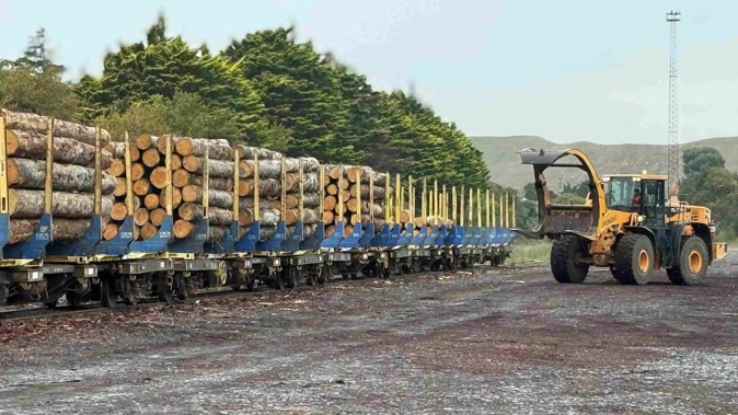 Whanganui-based forestry company Forest360 has switched to transporting its logs by rail. Photo / Forest360
