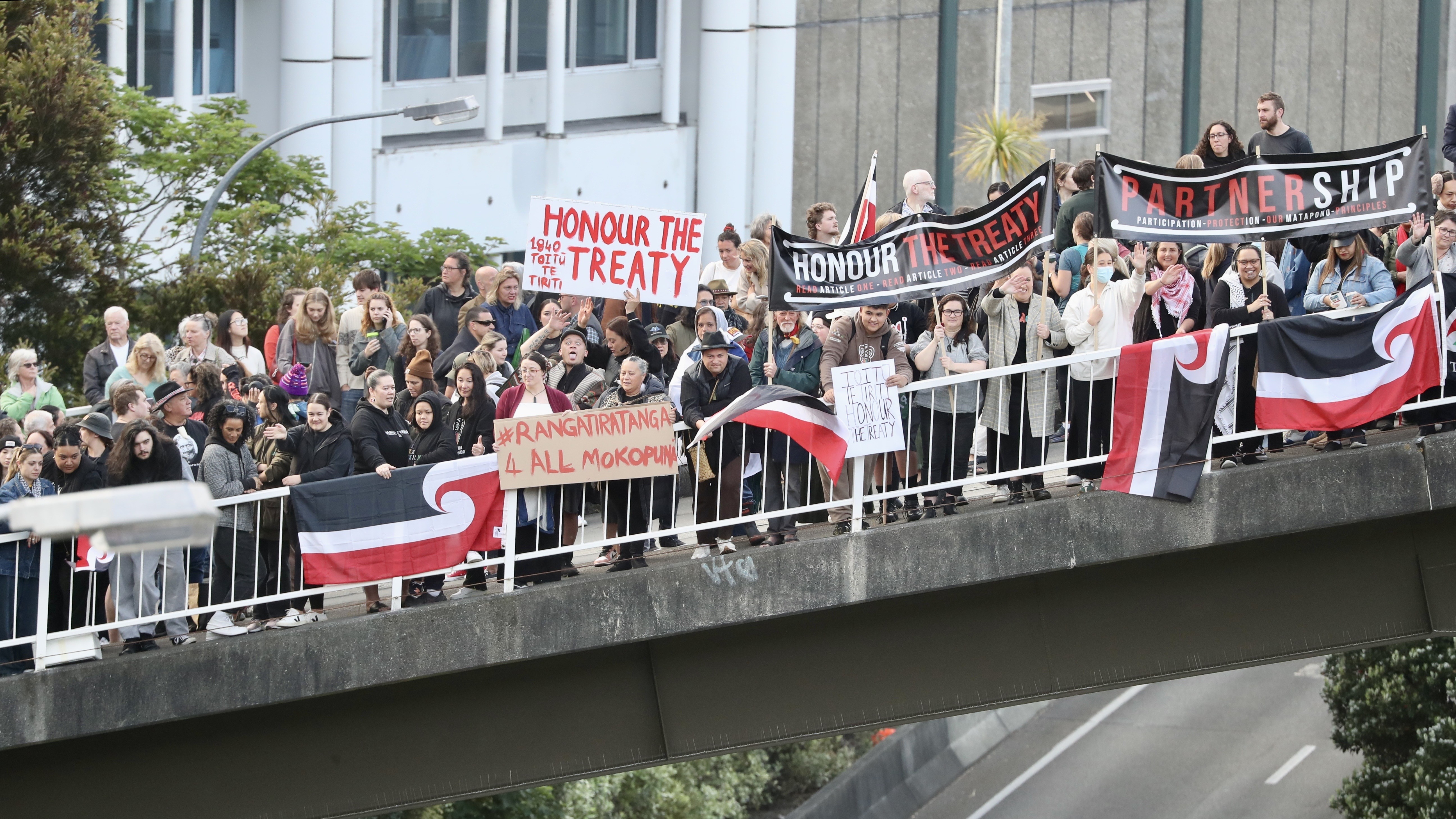 Photo / Mark Mitchell