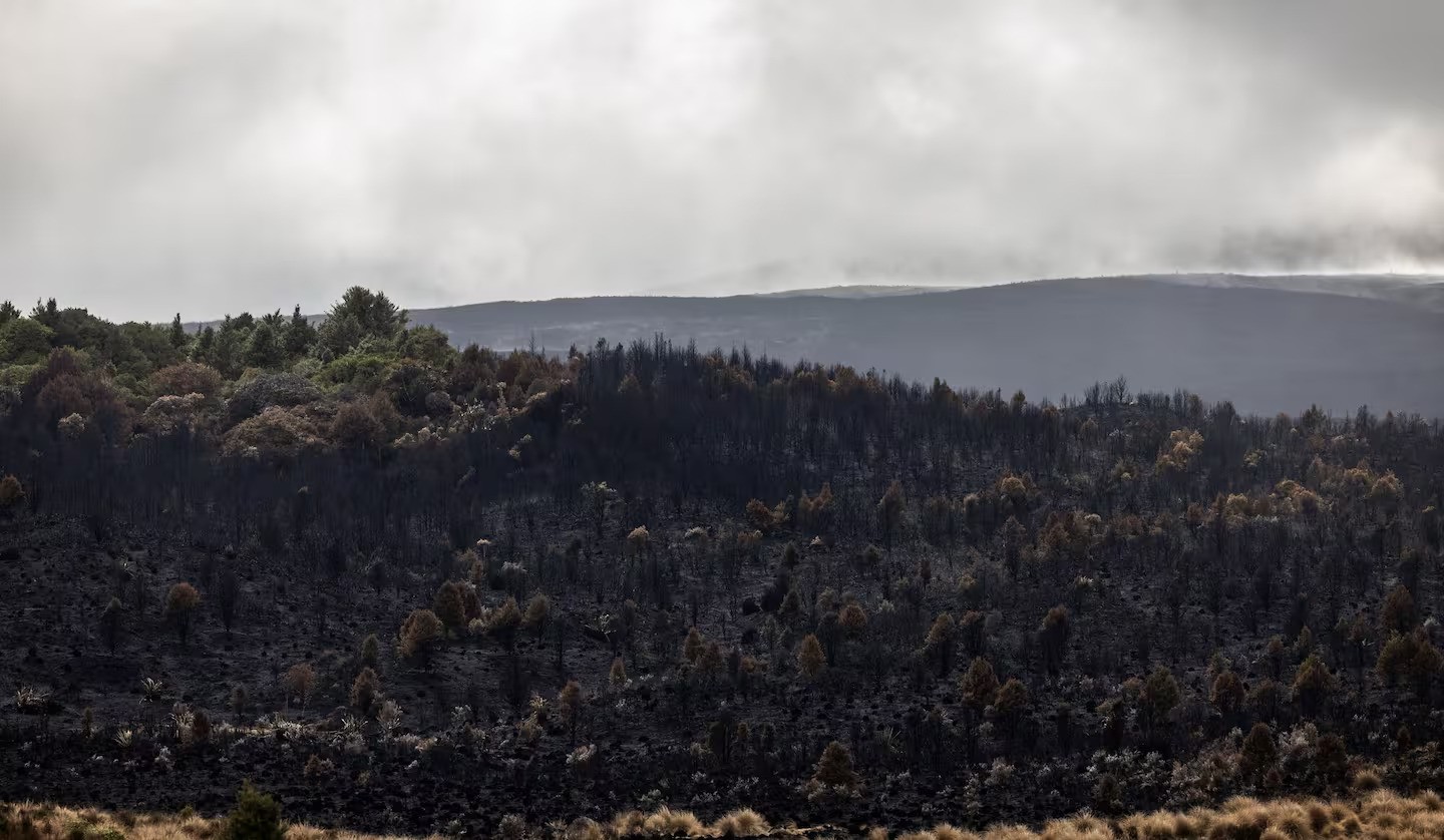 Rural firefighters prepare for the third day of fighting the fire in Tongariro National Park. Photo / Mike Scott