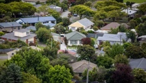 Housing intensification opponents call for 'bespoke approach' in Christchurch