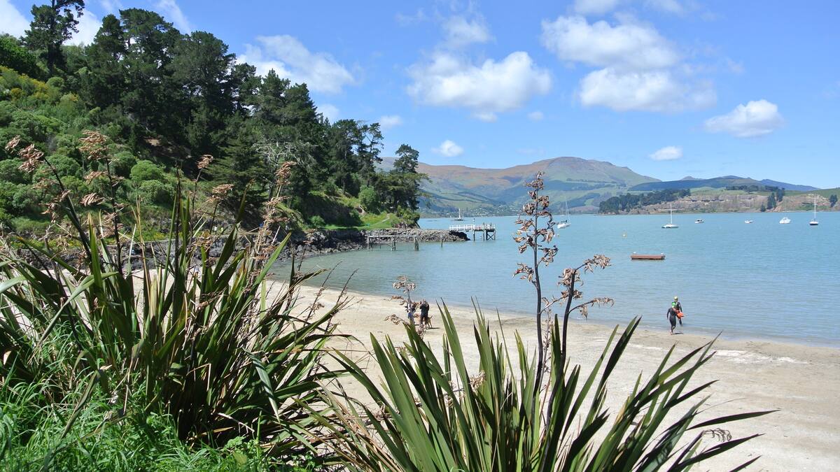 Warnings lifted at popular swimming spot after septic tank overflow