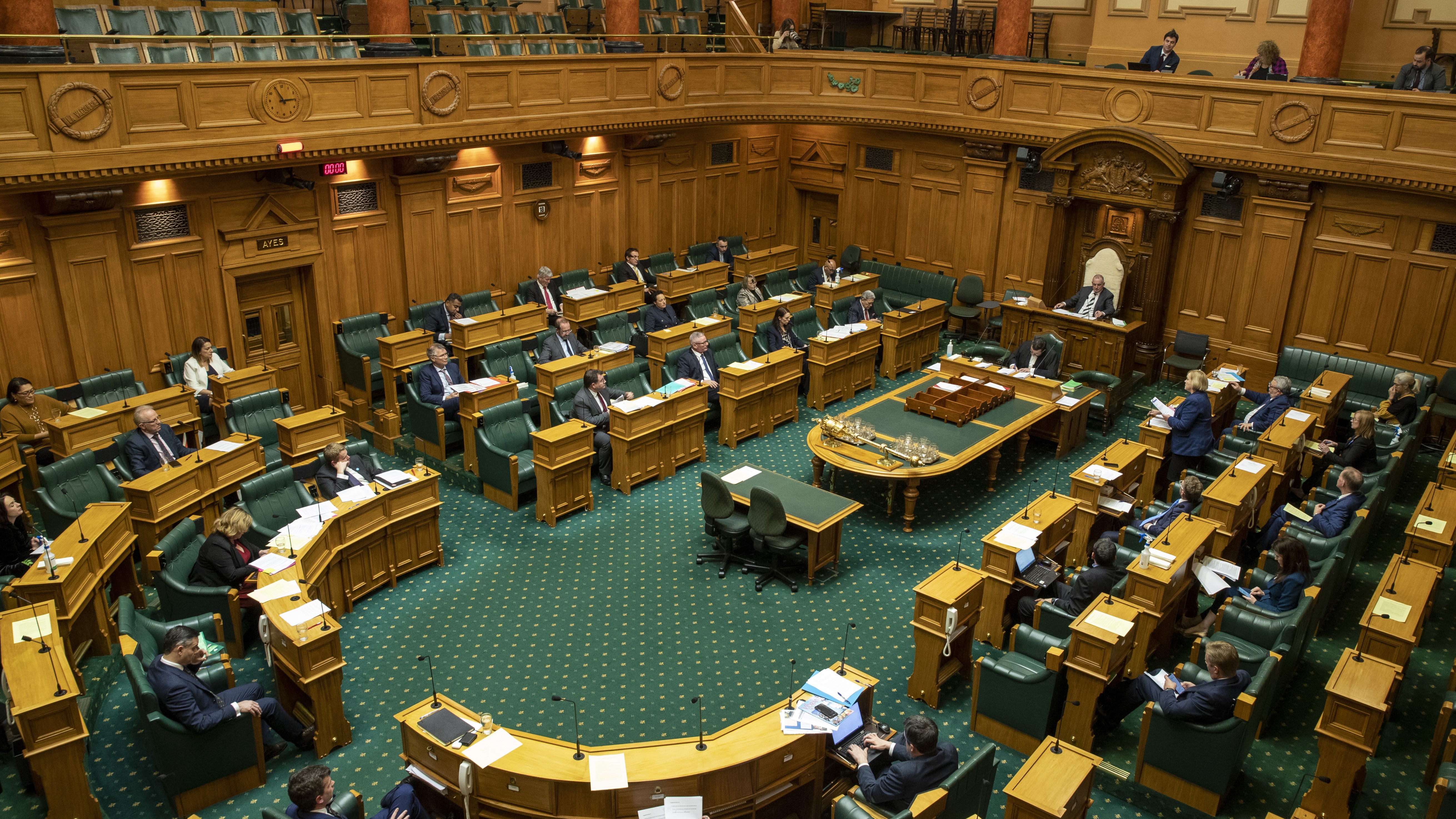 Photo / Mark Mitchell