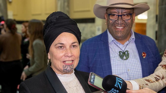 Māori Party co-leaders Rawiri Waititi and Debbie Ngarewa-Packer launched the petition which also aims to use te reo Māori names for all towns, cities and places by 2026. Photo / Mark Mitchell