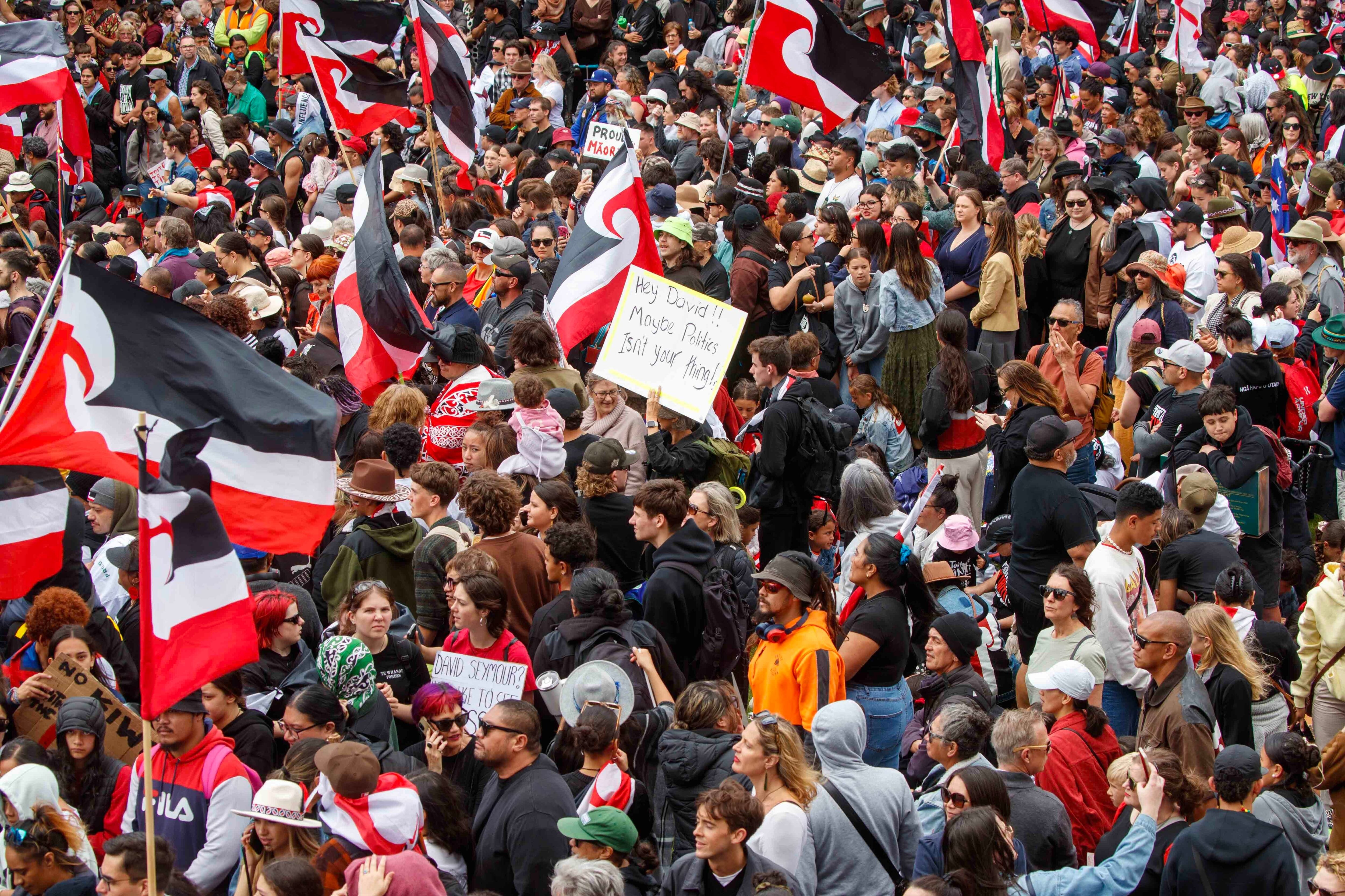  Photo / Mark Mitchell