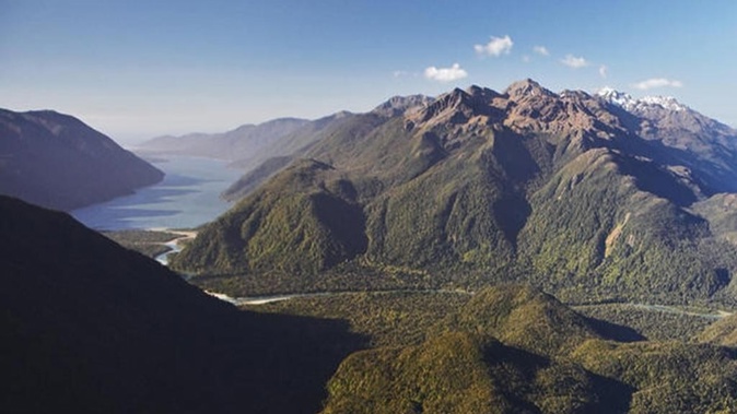 A tramper became separated from a party of six trampers walking the Hollyford Track yesterday.