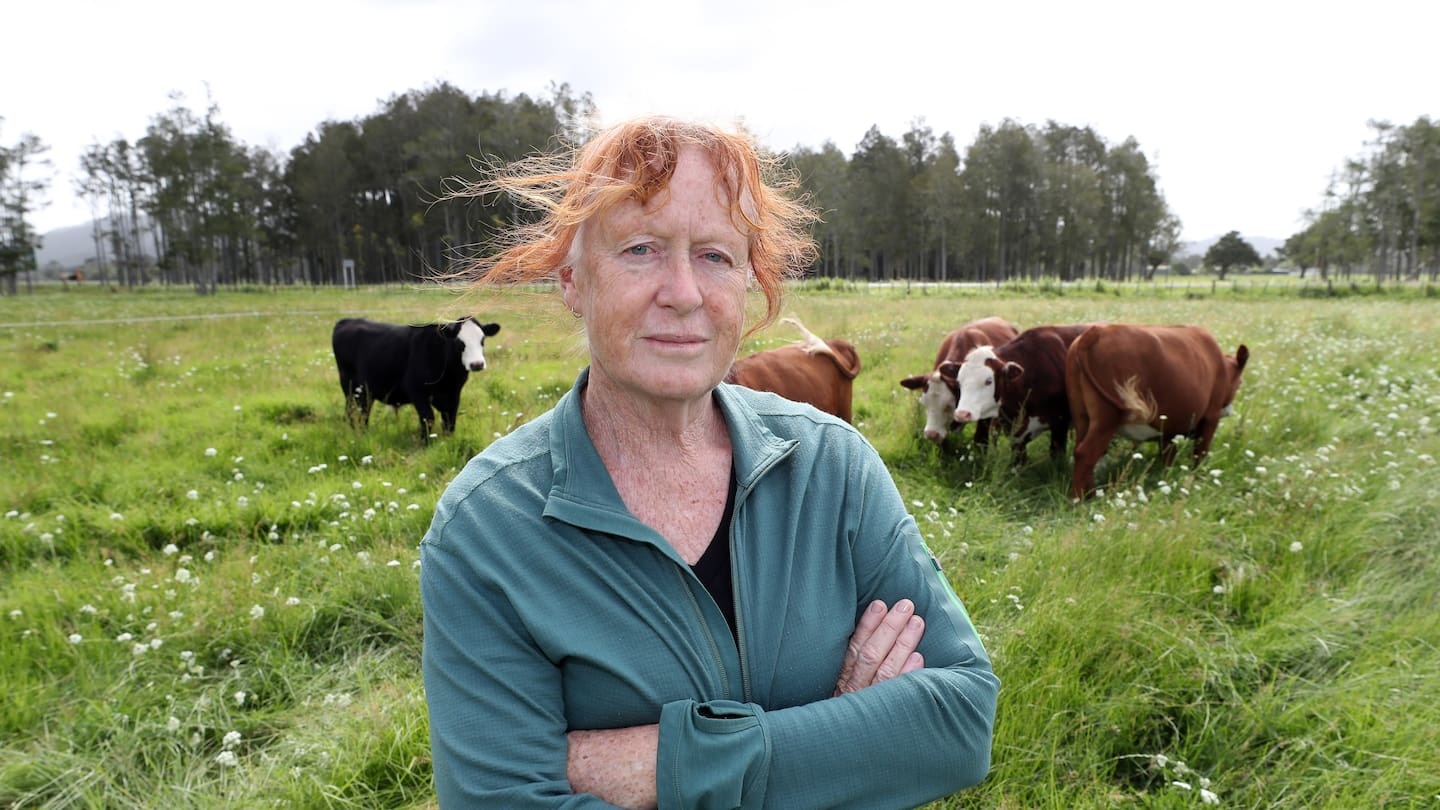 'They’re not having the whole farm': Northland Expressway fears for Waipu families