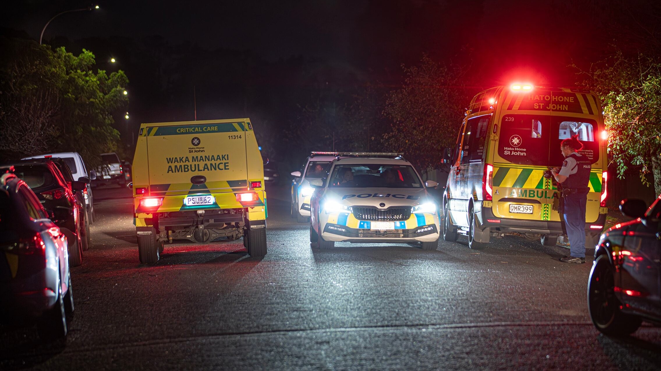 Vehicle driven at group of Auckland partygoers, four injured in mass disorder