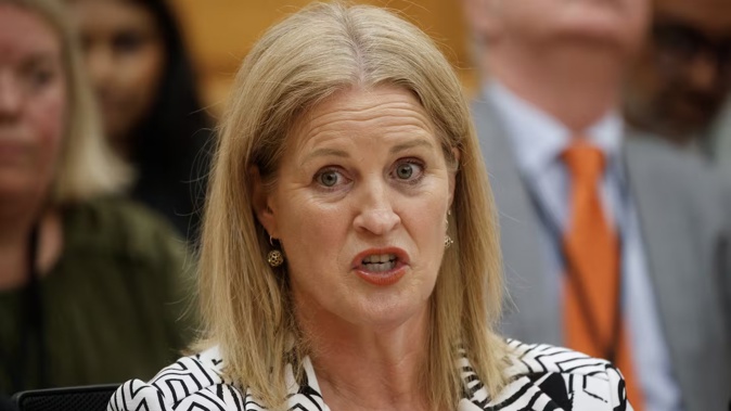 Social Development and Employment Minister Louise Upston. Photo / Mark Mitchell