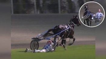Watch: Brave Kiwi harness racer dragged round track, holds on to save horse