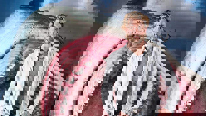 Summer of the shark? Scientist's plan to upskill public on apex predator