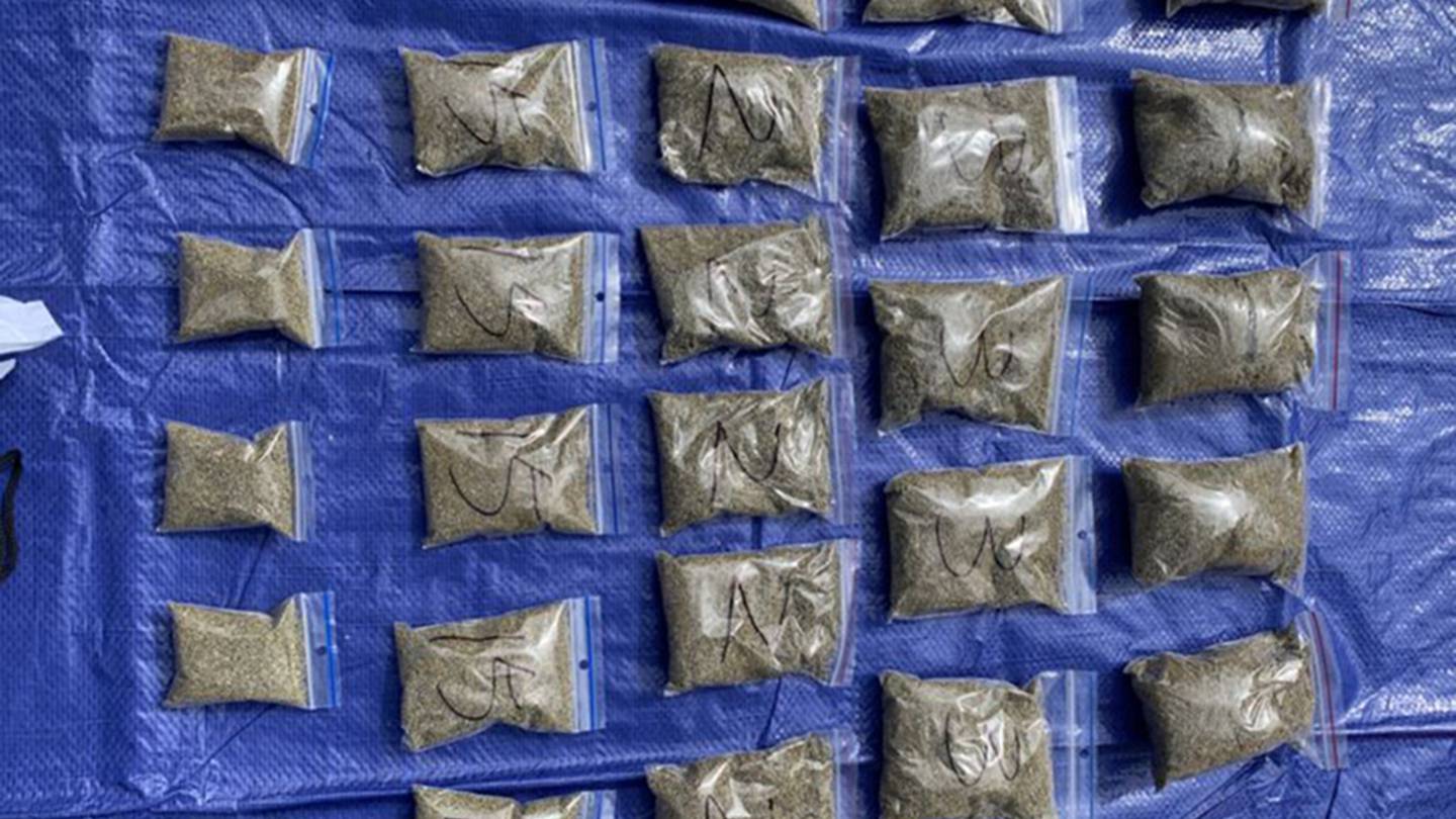 Police terminated Operation Ellerslie, a two-month long investigation targeting offenders allegedly supplying synthetic cannabis across Canterbury. Photo / Supplied