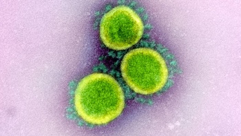Covid-19: 14,311 new cases in past 7 days; five questions about NZ's third Omicron wave