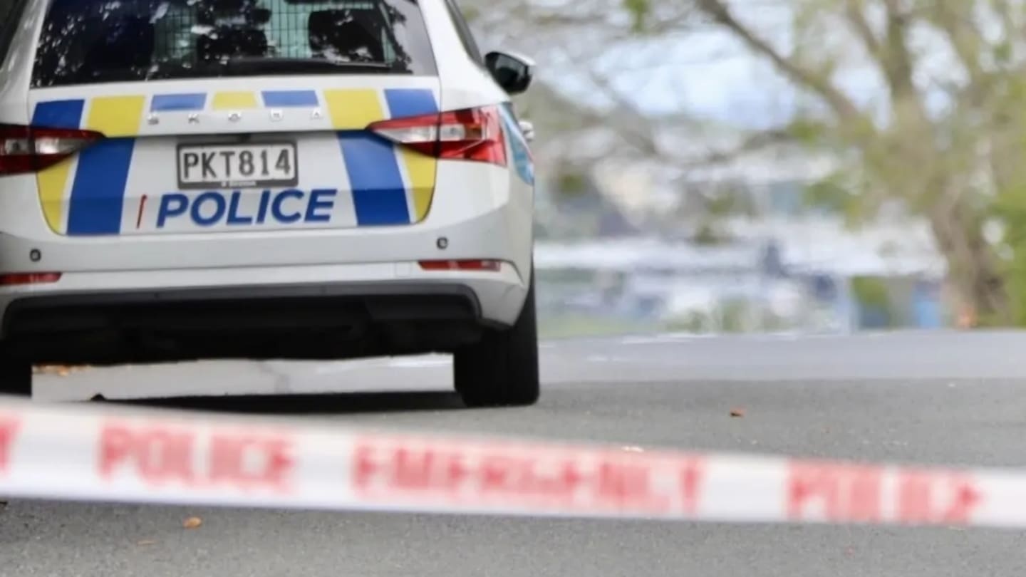 Violent son used dolphin ornament to kill Miramar mother - then fled to Hong Kong