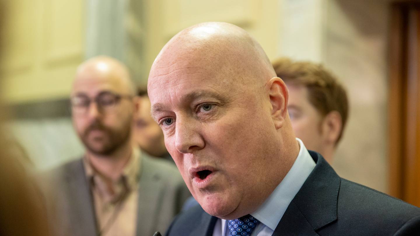 National leader Christopher Luxon. Photo / Mark Mitchell