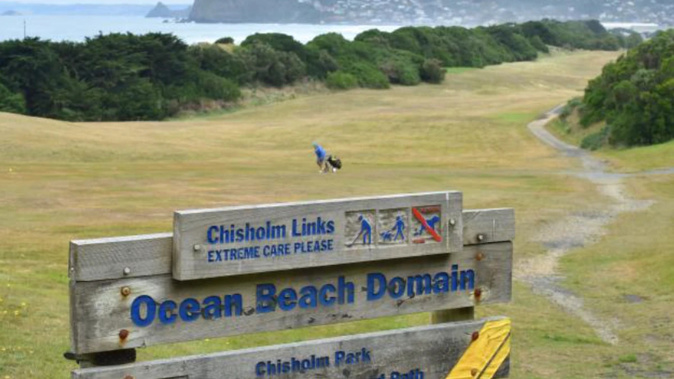 Looking south at Chisholm Links, Dunedin. (Photo / Gregor Richardson)