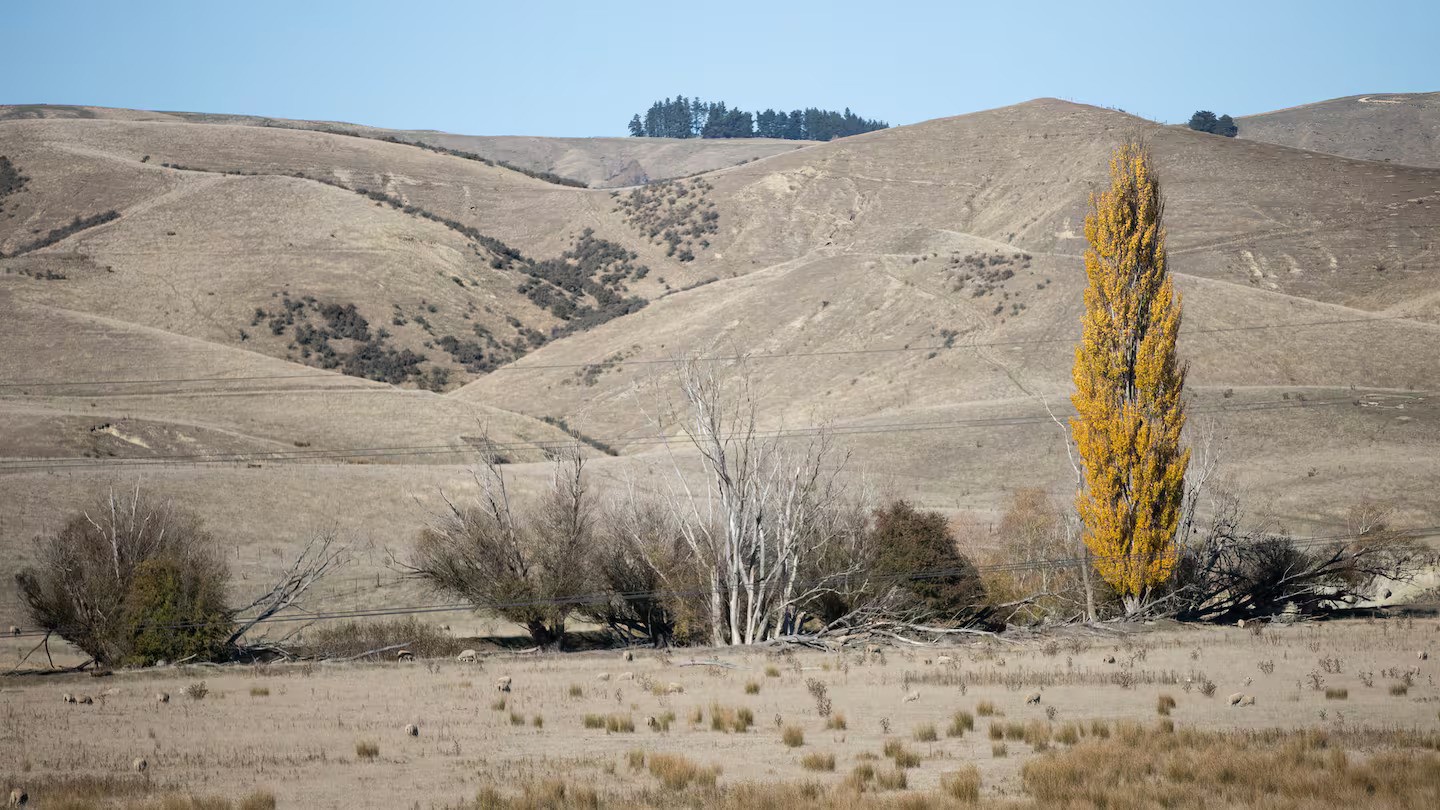 The big dry: Farmers say Canterbury, Otago support 'great news'